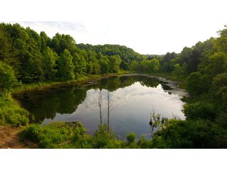 Property photo 79 - LAND AUCTION - 1,050+/- ACRES OFFERED IN 21 TRACTS PLUS 450+/- ACRE HUNTING LEASE IN MUSKINGUM COUNTY, OHIO
